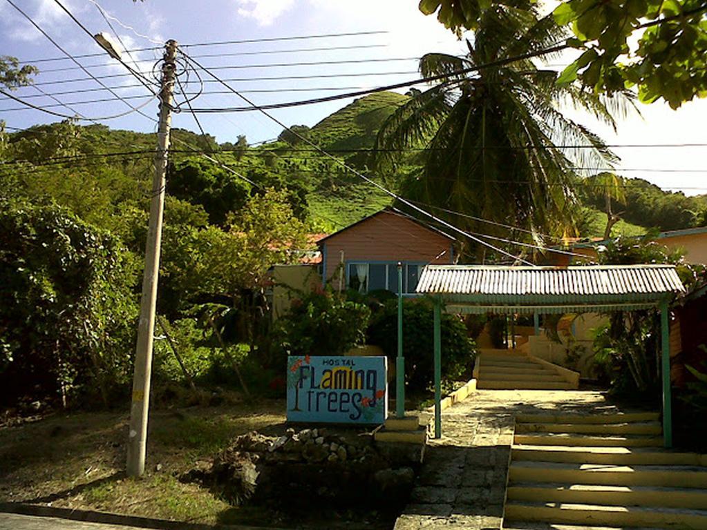 Hotel Flemming Tree Providencia Island Bagian luar foto