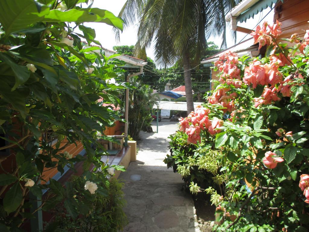 Hotel Flemming Tree Providencia Island Bagian luar foto