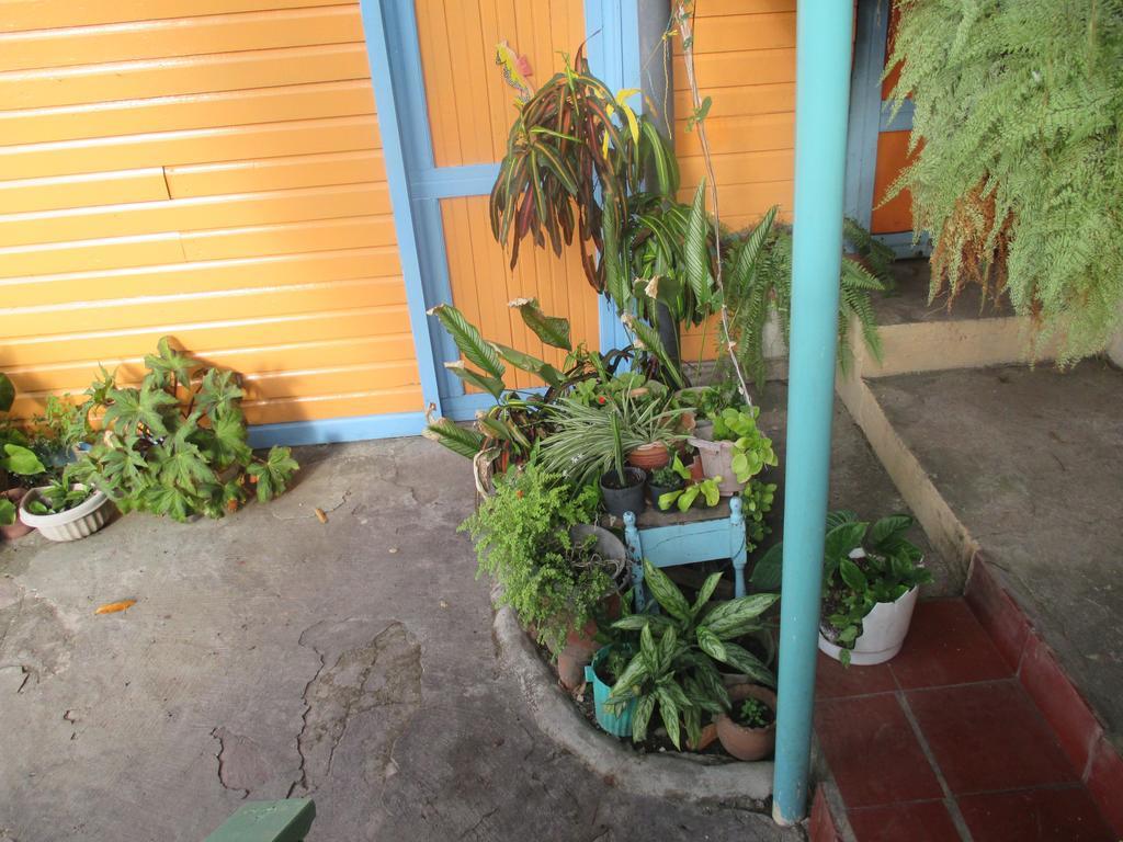 Hotel Flemming Tree Providencia Island Bagian luar foto