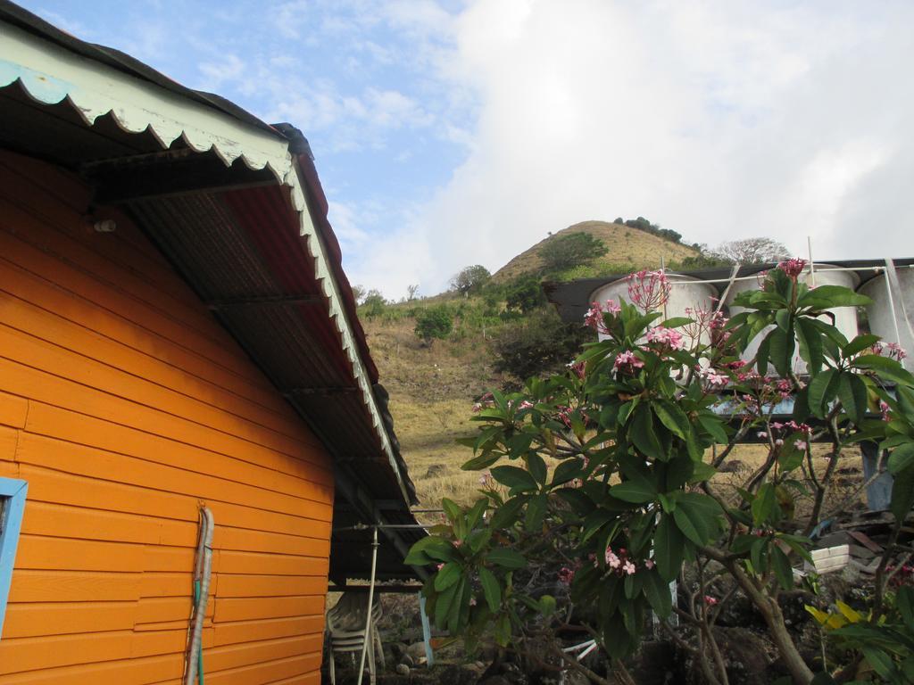 Hotel Flemming Tree Providencia Island Bagian luar foto