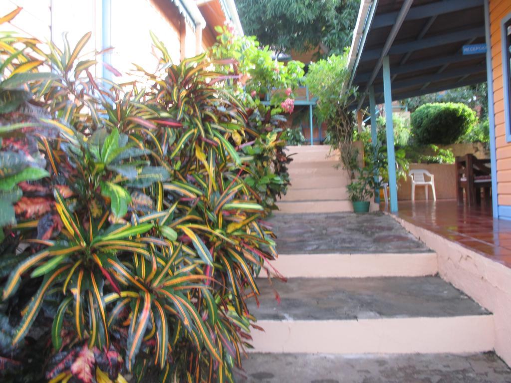 Hotel Flemming Tree Providencia Island Bagian luar foto