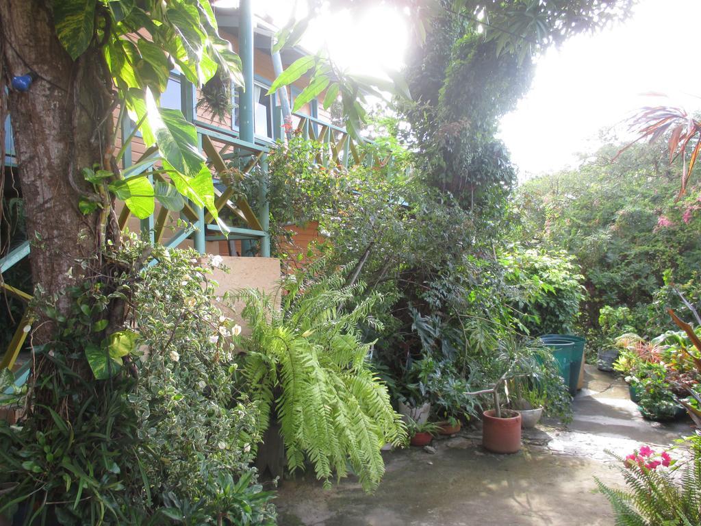 Hotel Flemming Tree Providencia Island Bagian luar foto
