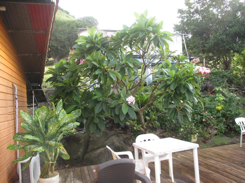 Hotel Flemming Tree Providencia Island Bagian luar foto